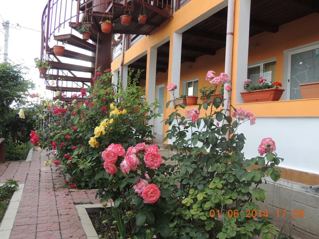 Pensiunea Iulia Sulina Exterior photo